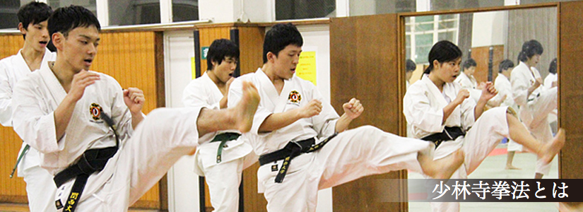 少林寺拳法とは